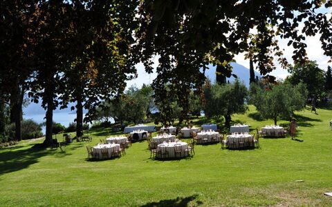Robilant: Albero, Pascolo, Paesaggio, Lotto, Plain, Prato, Giardino, Primavera, Prato