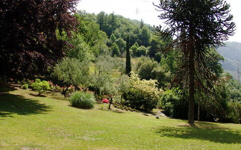 Robilant: Arbusto, Giardino, Giardino Botanico, Parco, Landscaping, Sempreverde, Pine Famiglia, Panchina