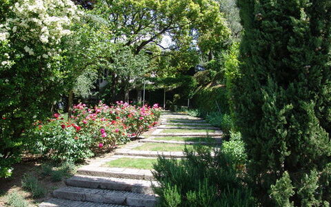 Robilant: Fiore, Foglia, Verde, Natura, Giardino, Vegetazione, Arbusto, Comunita 'Impianto, Groundcover