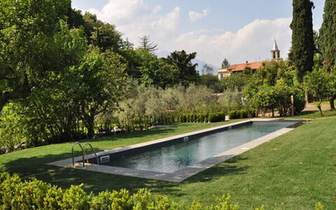 Robilant: Arbusto, Giardino, Landscaping, Piscina, Prato, Shade, Hedge, Estate, Parco, Backyard