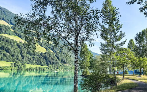 Ferienwohnung Enz: Blu, Acqua, Risorse Idriche, Verde, Corpo D'Acqua, Natura, Paesaggio Naturale, Ambiente Naturale, Vegetazione, Estate
