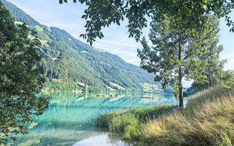 Ferienwohnung Enz: Acqua, Verde, Corpo D'Acqua, Risorse Idriche, Paesaggio Naturale, Estate, Collina, Highland, Alveo, Banca