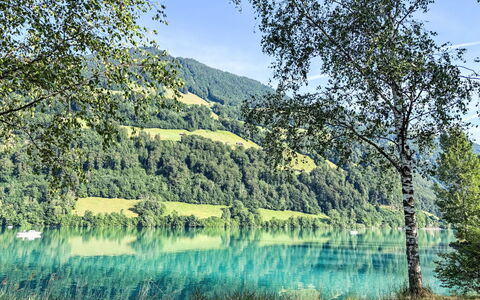 Ferienwohnung Enz: Blu, Risorse Idriche, Acqua, Verde, Corpo D'Acqua, Natura, Ambiente Naturale, Paesaggio Naturale, Estate, Alveo