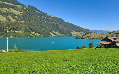 Ferienwohnung Enzian: Risorse Idriche, Corpo D'Acqua, Verde, Geografia Montane, Paesaggio Naturale, Collina, Highland, Montagna, Pascolo, Paesaggio