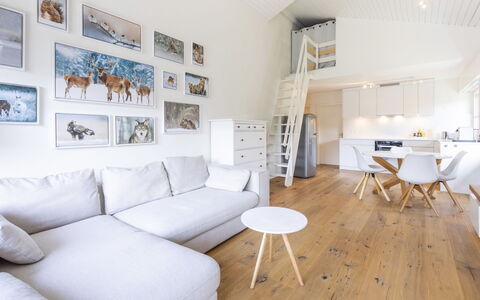 Casa Curnera 8: Interior Design, Mobilia, Pavimentazione, Parete, Pavimento, Divano, Legna, Soffitto, Soggiorno, Pavimento In Legno