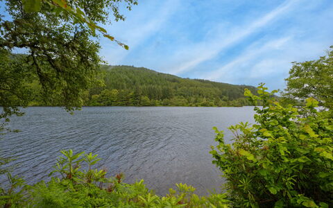 Loch Oich View (Lodge 6): Blu, Acqua, Risorse Idriche, Corpo D'Acqua, Verde, Natura, Ambiente Naturale, Paesaggio Naturale, Foglia, Vegetazione