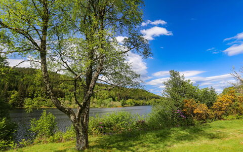 Loch Oich View (Lodge 6): Mobilia, Cucina & Sala Da Pranzo Tavolo, Sedia, Pavimento, Mare, Balcone, Oceano, Ricorrere, Eco Hotel, Sala Da Pranzo