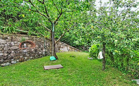 Cà Olivella: Mobilia, Cucina & Sala Da Pranzo Tavolo, Sedia, Pavimento, Mare, Balcone, Oceano, Ricorrere, Eco Hotel, Sala Da Pranzo