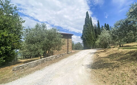 La Camporena: Mobilia, Cucina & Sala Da Pranzo Tavolo, Sedia, Pavimento, Mare, Balcone, Oceano, Ricorrere, Eco Hotel, Sala Da Pranzo