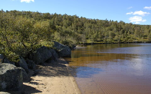 Hellebu: Risorse Idriche, Acqua, Corpo D'Acqua, Natura, Ambiente Naturale, Alveo, Paesaggio Naturale, Waterway, Vegetazione, Banca