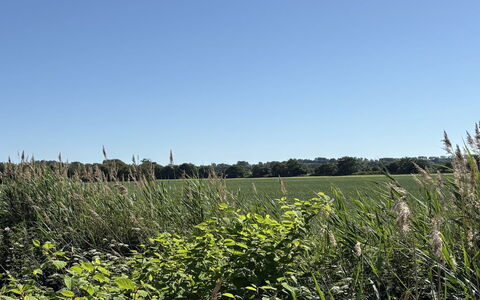 Vilmar - 450M from the Sea: Cielo, Blu, Verde, Erba, Ambiente Naturale, Vegetazione, Pascolo, Estate, Ecoregione, Comunita 'Impianto