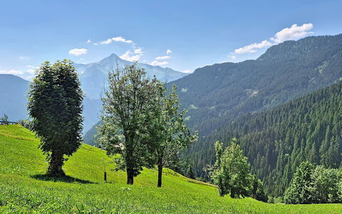 Eben: Geografia Montane, Montagna, Verde, Albero, Natura, Ambiente Naturale, Collina, Paesaggio Naturale, Vegetazione, Highland