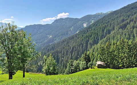 Eben: Geografia Montane, Verde, Albero, Montagna, Paesaggio Naturale, Vegetazione, Collina, Foresta, Highland, Estate