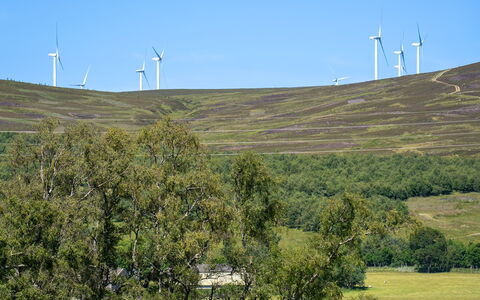Strathnoon: Ambiente Naturale, Pascolo, Ecoregione, Paesaggio, Campo, Lotto