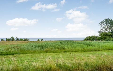 Apsolon - 100M from the Sea: Cielo, Blu, Verde, Erba, Ambiente Naturale, Pascolo, Vegetazione, Paesaggio Naturale, Nube, Ecoregione