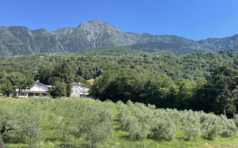 Aura: Geografia Montane, Montagna, Collina, Vegetazione, Highland, Hill Station, Catena Montuosa, Paesaggio, Comunita 'Impianto, Ecoregione