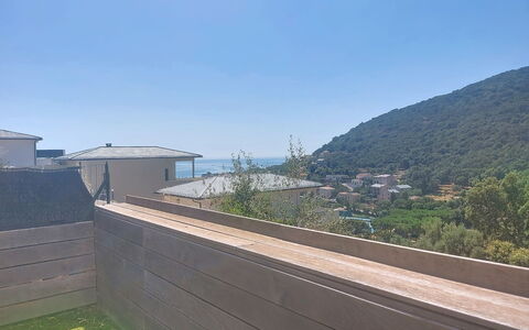 E Follicie: Materiale Composito, Pendenza, Latifoglie, Calcestruzzo, Plank, Color Legno, Passerella, Balcone, Deck