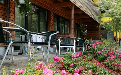 Zell am See 79: Fiore, Giardino, Cortile, Shade, Landscaping, Color Legno, Pianta Della Casa, Backyard, Vaso Di Fiori, Fiorai