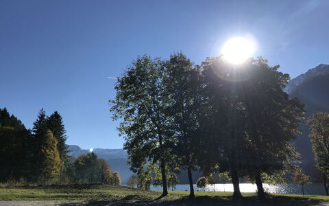 Achenkirch 622: Natura, Foglia, Albero, Ramo, Paesaggio Naturale, Collina, Paesaggio, Sole, Luce Del Sole, Hill Station
