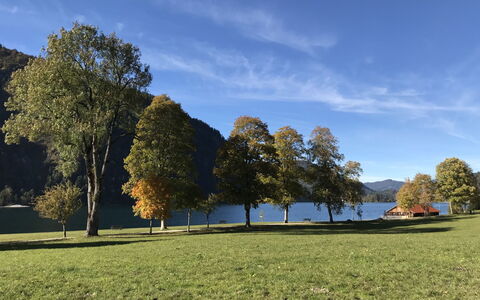 Achenkirch 622: Erba, Foglia, Albero, Verde, Natura, Ambiente Naturale, Paesaggio Naturale, Pascolo, Paesaggio, Collina