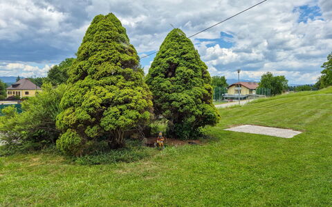 Haus Valentin: Foglia, Arbusto, Giardino, Groundcover, Woody Impianto, Landscaping, Prato, Giardino Botanico, Sempreverde
