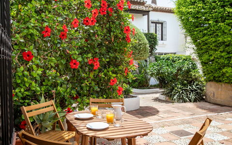 Carmen: Fiore, Arbusto, Vaso Di Fiori, Giardino, Pianta Della Casa, Cortile, Sedia, Cortile, Shade