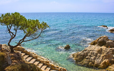 Cannes: Blu, Acqua, Corpo D'Acqua, Costa, Roccia, Costiera E Morfologie Oceanic, Mare, Estate, Paesaggio, Riva