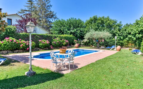 Quietud: Blu, Arbusto, Giardino, Prato, Shade, Landscaping, Hacienda, Piscina, Cortile