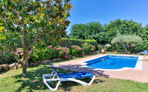 Quietud: Blu, Piscina, Arbusto, Giardino, Ricorrere, Tempo Libero, Landscaping, Shade, Eco Hotel