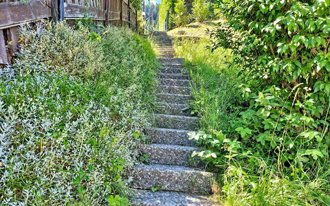 Balcon du Ciel 1: Verde, Vegetazione, Arbusto, Comunita 'Impianto, Groundcover, Giardino, Primavera, Le Scale, Pianta Erbacea