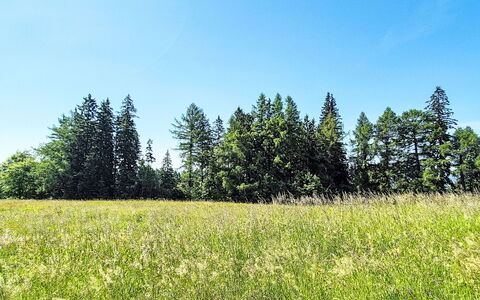 Golden View: Blu, Verde, Albero, Ambiente Naturale, Pascolo, Estate, Lotto, Prato, Campo, Plain