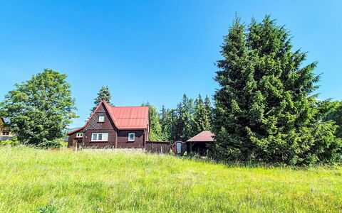 Golden View: Albero, Erba, Casa, Casa, Villetta, Lotto, Tetto, Area Rurale, Plain