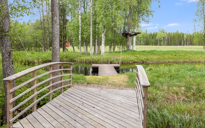 Taikinajoki