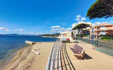 Le Grand Hotel: Costa, Mare, Riva, Spiaggia, Shade, Resort Citta ', Vacanza, Baia, Passerella, Tropici