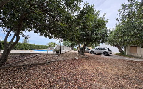 Casale Nardi: Albero, Foglia, Ramo, Manto Stradale, Shade, Woody Impianto, Luce Del Sole, Driveway, Suolo, Landscaping