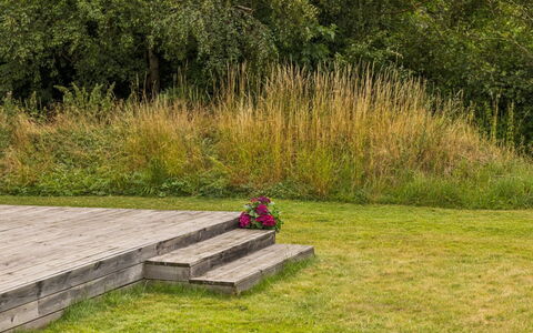 Pertti - 750M from the Sea: Verde, Erba, Arbusto, Pascolo, Groundcover, Giardino, Prato, Plank, Latifoglie