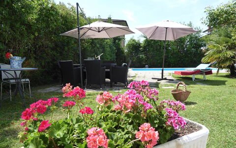 Villa Eva: Mobilia, Mobili Da Esterno, Arbusto, Sedia, Giardino, Ombrello, Vaso Di Fiori, Tavolo Esterno, Shade