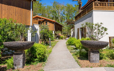 Lacanau 679: Arbusto, Giardino, Primavera, Landscaping, Villetta, Backyard, Shade, Estate, Cortile