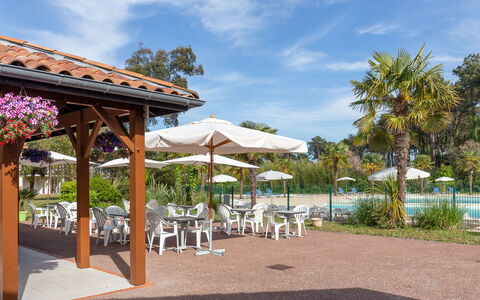 Allée des Dunes: Ricorrere, Shade, Estate, Mobili Da Esterno, Eco Hotel, Hacienda, Giardino, Landscaping, Sedia, Ristorante