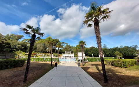 Confort, Piscine et Plage: Albero, Arbusto, Spazio Pubblico, Giardino, Woody Impianto, Passerella, Landscaping, Shade, Parco