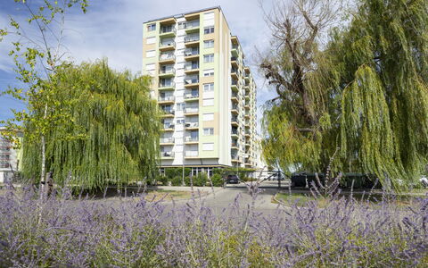 Silver: Giorno, Costruzione, Appartamento, Zona Residenziale, Città, Zona Urbana, Quartiere, Facciata, Condominio