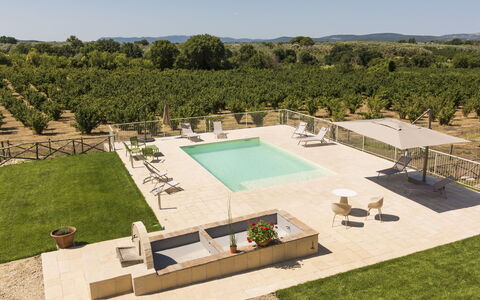 Lago di Vico 629: Piscina, Ricorrere, Mobili Da Esterno, Estate, Giardino, Landscaping, Ombrello, Shade, Lettino, Hacienda