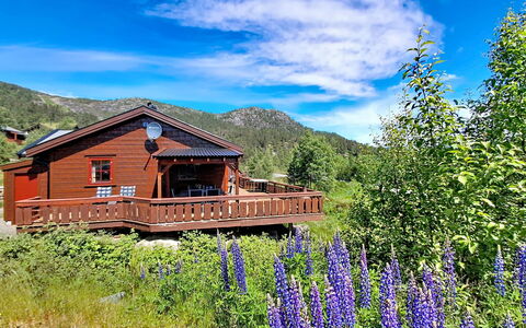 Bjørnbu: Geografia Montane, Montagna, Collina, Highland, Casa, Portico, Villetta, Paesaggio, Area Rurale