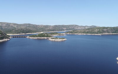 Bjørnbu