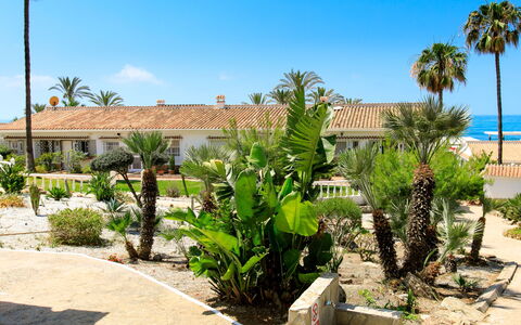 El Bungalow: Mobilia, Interior Design, Sedia, Mobili Da Esterno, Materiali Naturali, Shade, Tavolo Esterno, Design, Ristorante, Cucina & Sala Da Pranzo Tavolo