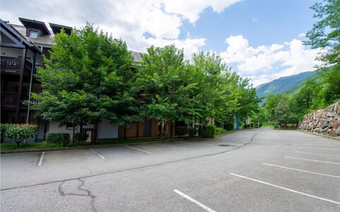 Les Chalets D'Ax: Albero, Manto Stradale, Ramo, Asfalto, Driveway, Parcheggio