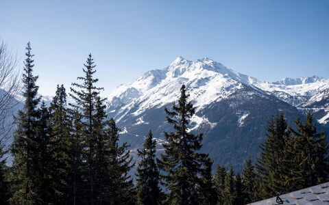 La Rosière 620: Montagna, Cielo, Neve, Geografia Montane, Albero, Catena Montuosa, Inverno, Natura Selvaggia, Highland