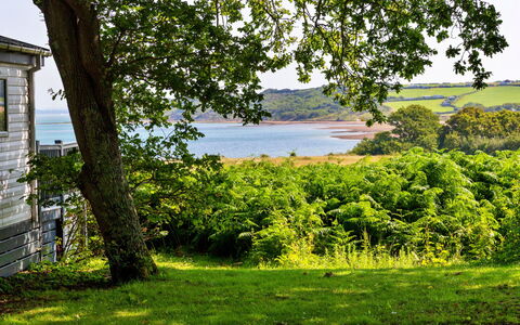 Seascape: Verde, Natura, Paesaggio Naturale, Vegetazione, Estate, Arbusto, Paesaggio, Pascolo, Comunita 'Impianto