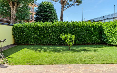 Villa Giulia: Verde, Arbusto, Hedge, Giardino, Groundcover, Prato, Landscaping, Shade, Passerella, Erba Sintetica