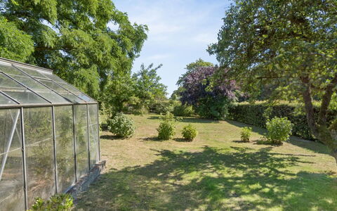 Helge - 10Km from the Sea: Albero, Vegetazione, Arbusto, Giardino, Paesaggio, Comunita 'Impianto, Lotto, Groundcover, Prato